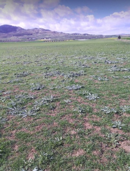Le terrain agricole est confié, provisoirement, à l’Office des Terres Domaniales (OTD), en attendant sa réaffectation conformément aux réglementations en vigueur.