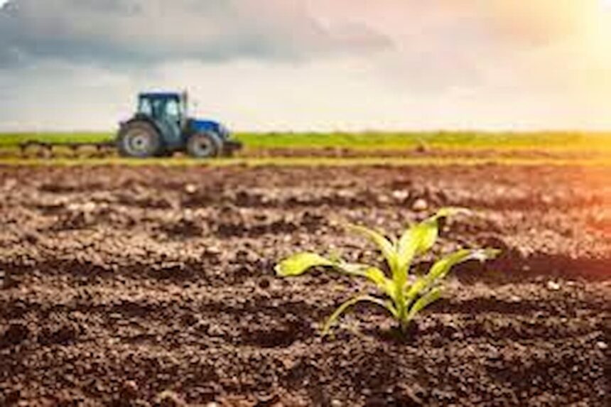 Agriculture