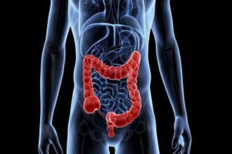 Le deuxième axe a été dédié à la sensibilisation et à l'information sur certains cancers, tels que le cancer de la peau, du col de l'utérus, de la prostate et de la vessie, tandis que le troisième axe a porté sur le dépistage de certains cancers tels que le cancer du sein et le cancer du côlon.