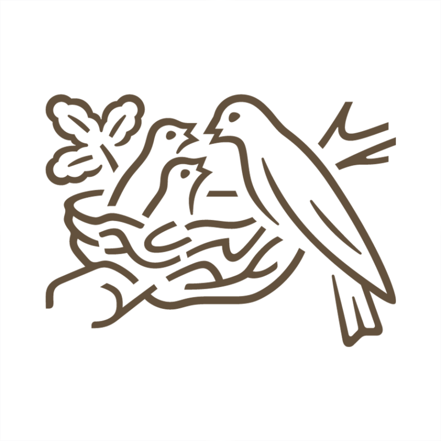 Jérôme Salomon a évoqué un rapport de l'Agence nationale de sécurité sanitaire (Anses) portant sur l'utilisation de microfiltres de moins de 0,8 micromètre, lequel concluait que l'eau provenant des puits n'était pas « microbiologiquement saine ».