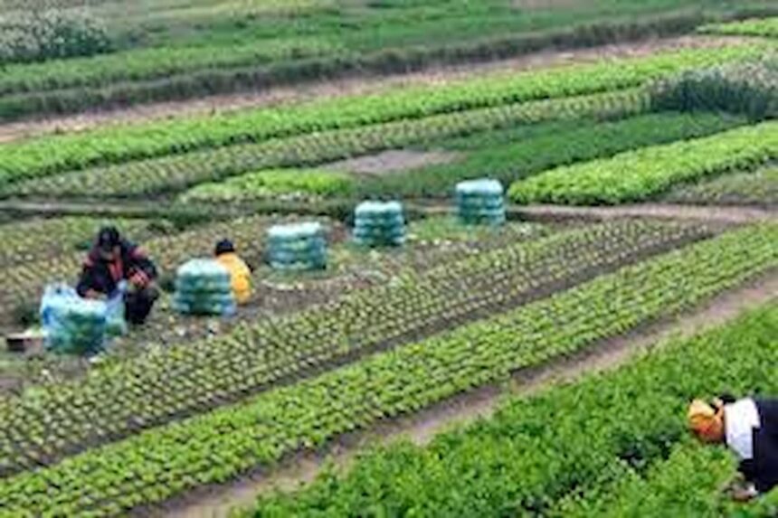 mesures en faveur des agriculteurs