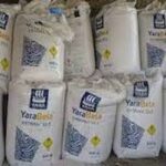 Ammoniac vert en Egypte