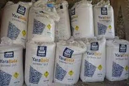 Ammoniac vert en Egypte