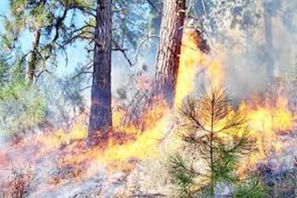 L'incendie de Bargou maîtrisé
