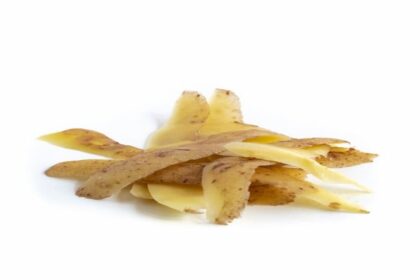 La décision de remise du prix de la meilleure recherche scientifique 2024 a été publiée au JORT n 90 daté du 19 juillet 2024.