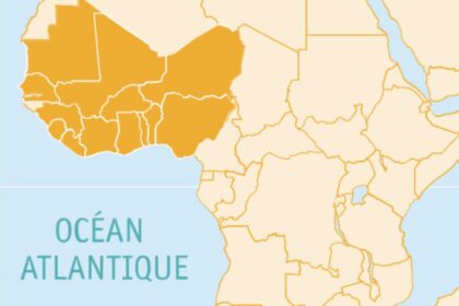 Investissements en Afrique