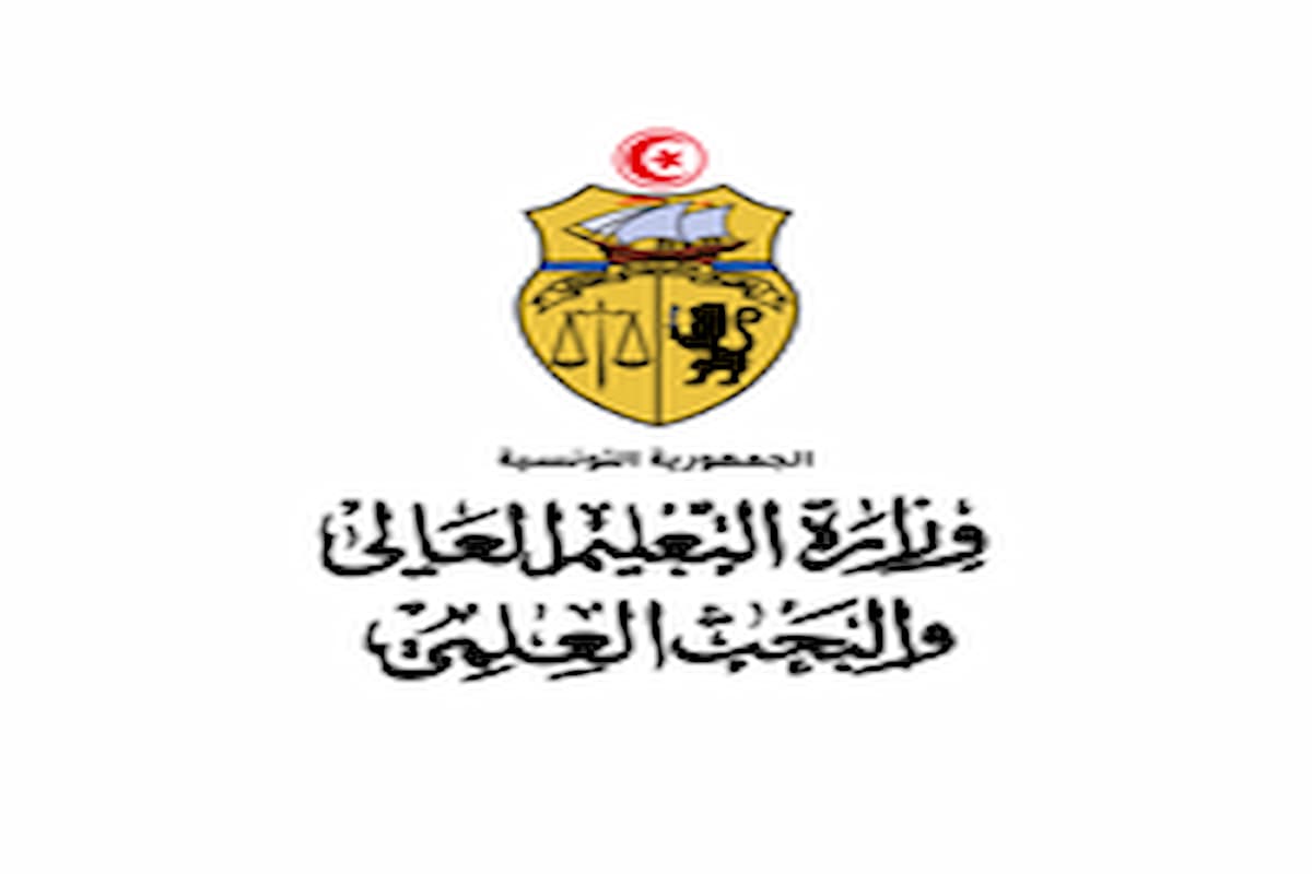 Modernisation De L Enseignement Supérieur