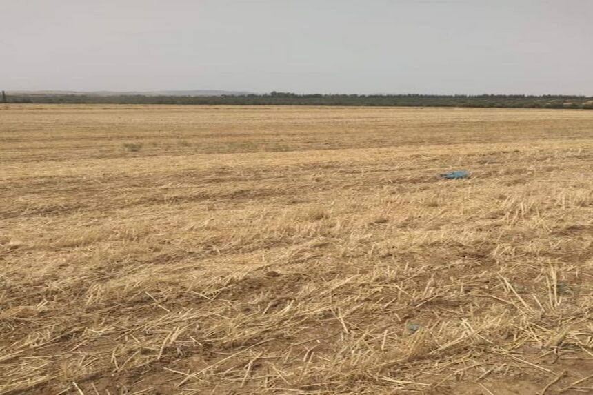 Cet état de fait vient en exécution d'une décision d'évacuation émise par le gouverneur de Manouba, et en présence des autorités locales, sécuritaires et administratives concernées.