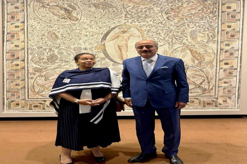 Cité dans un communiqué, Mohamed Ali Nafti a également échangé avec son homologue congolaise Thérèse Kayikwamba Wagner.