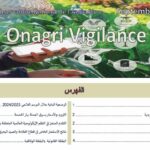 L’Onagri a précisé que l’Italie constitue notre principal client, avec 43% des quantités exportées suivie par l’Espagne et la France avec respectivement 23% et 12%.