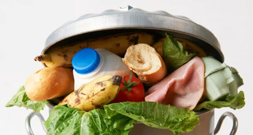 gaspillage alimentaire