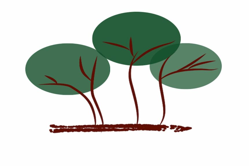 Ces journées seront une occasion d’échanger autour de divers thèmes liés à l’agroécologie et à la diète méditerranéenne avec la participation des institutions publiques et des partenaires invités.