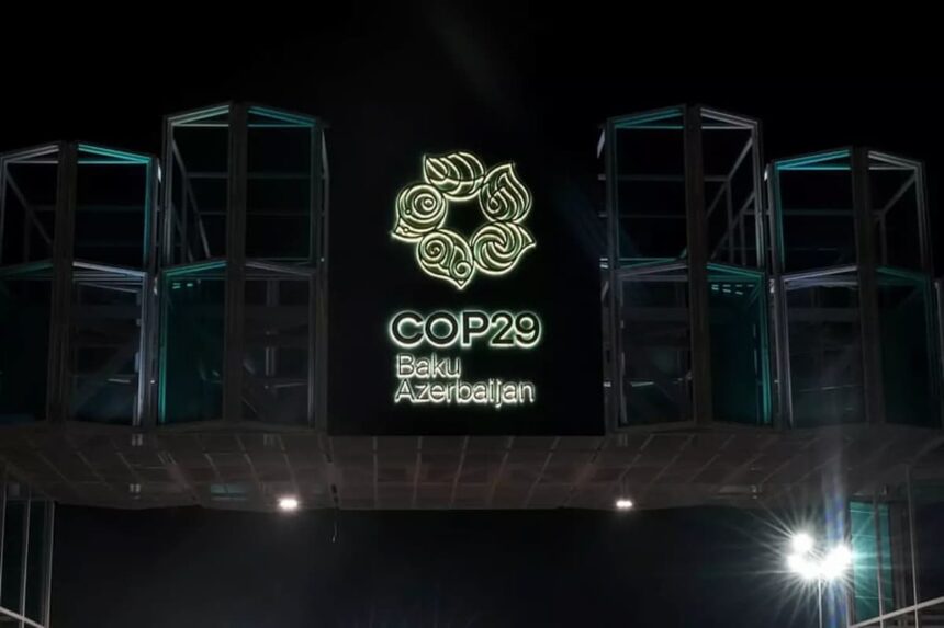 COP29