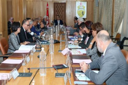 Conseil des universités