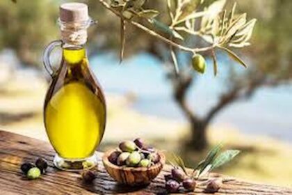 Stratégie globale pour le secteur de l'huile d'olive