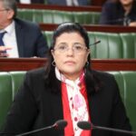 Nemsia a aussi indiqué que certains articles supplémentaires contredisent les articles 69 et 49 de la constitution et a qualifié d’autres de «cavaliers budgétaires» qui n'auraient pas de rapport avec le texte de loi de Finances.