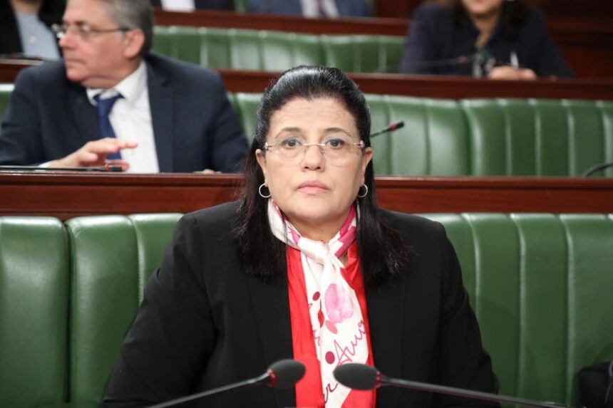 Nemsia a aussi indiqué que certains articles supplémentaires contredisent les articles 69 et 49 de la constitution et a qualifié d’autres de «cavaliers budgétaires» qui n'auraient pas de rapport avec le texte de loi de Finances.