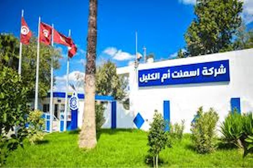 Cela a été accompagné d'un changement au niveau de la source d'énergie exploitée par l’usine, désormais centrée sur le charbon de pétrole, ce qui a permis de réduire les coûts de production et d'améliorer la rentabilité.