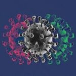 En effet, l'émergence de cette variante a commencé en juin 2024 en Allemagne et s'est ensuite propagée à d'autres pays européens, puis aux États-Unis d'Amérique, a-t-il précisé, ajoutant qu'aucun cas d'atteinte par le variant "XEC" n'a été recensé, jusqu'à présent, en Tunisie.