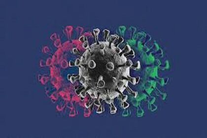 En effet, l'émergence de cette variante a commencé en juin 2024 en Allemagne et s'est ensuite propagée à d'autres pays européens, puis aux États-Unis d'Amérique, a-t-il précisé, ajoutant qu'aucun cas d'atteinte par le variant "XEC" n'a été recensé, jusqu'à présent, en Tunisie.