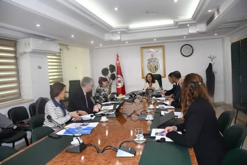 Ce programme est financé conjointement par le ministère fédéral allemand de la coopération économique et du développement (BMZ) et l'Union européenne en Tunisie et il est mis en œuvre par la GIZ Tunisie en partenariat avec le département de l'Industrie.