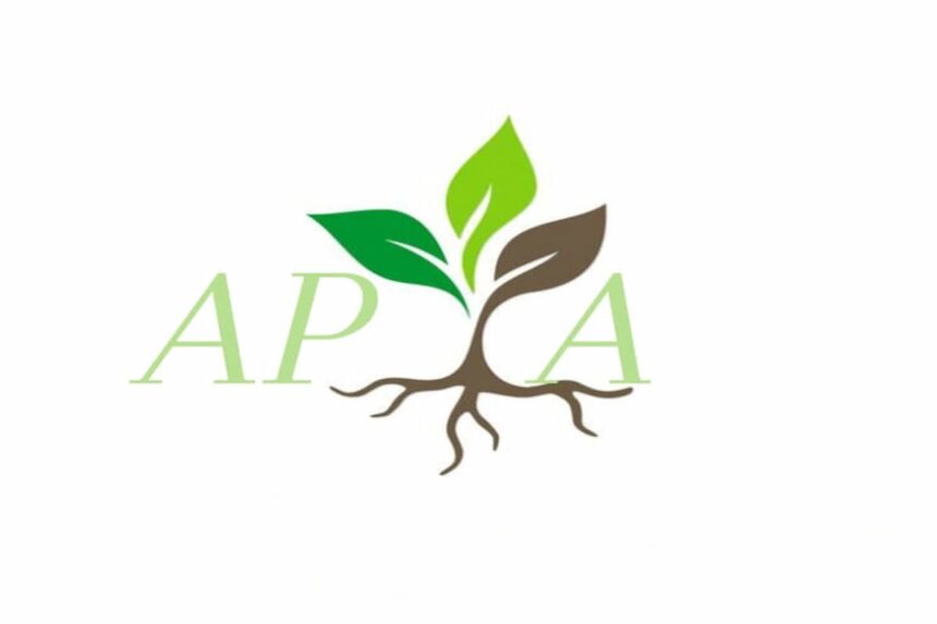 Le directeur régional de l'APIA a souligné que ces chiffres ne tiennent pas compte des investissements approuvés par la commission nationale, qui examine les projets d'investissement dont la valeur dépasse 1 million de dinars.