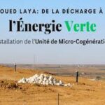 économie verte