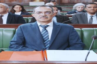 Ben Cheikh a ajouté que le l'OTD présentera ce plan, qui a été approuvé par le Conseil ministériel restreint réuni le 8 octobre 2024, à la session de travail à la présidence du gouvernement pour décider des mesures à prendre.