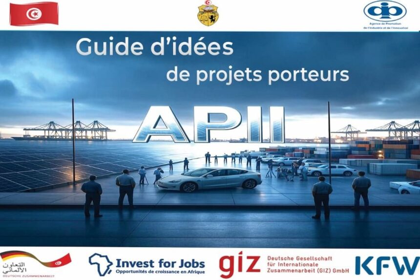 Une étude approfondie, sur l'identification des nouveaux créneaux porteurs en Tunisie, réalisée par l’Agence de Promotion de l'Industrie et de l'Innovation (APII) a permis d’identifier 40 idées de projets porteurs.