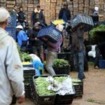 croissance économique