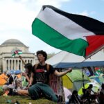 université de Harvard