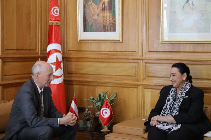 Le développement des échanges culturels entre la Tunisie et l'Autriche était au centre de l'entretien, mercredi 14 mai, de la ministre des Affaires Culturelles, Amina Srarfi, avec l'ambassadeur d'Autriche en Tunisie, Stefan Vavrik.