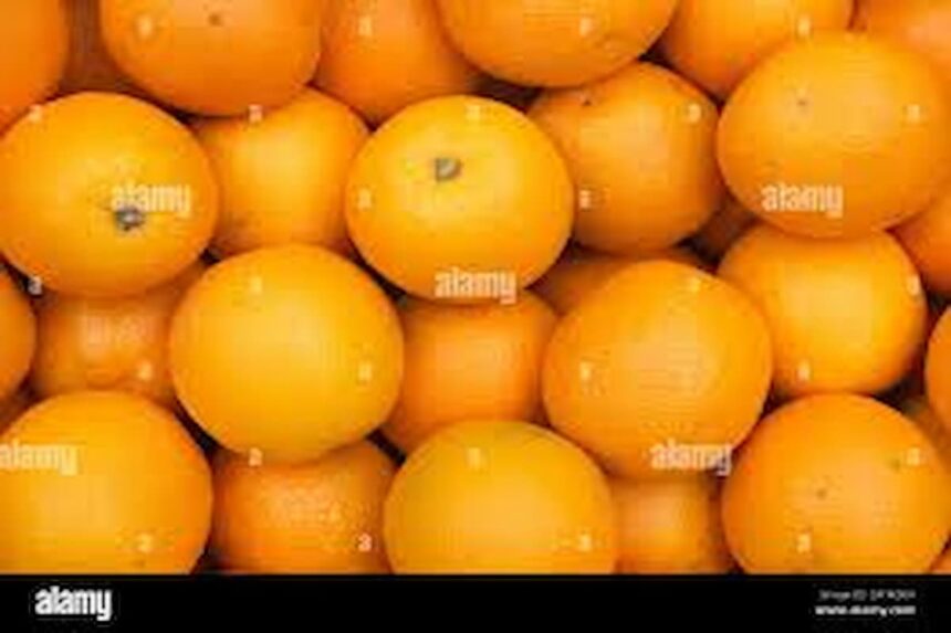 Oranges