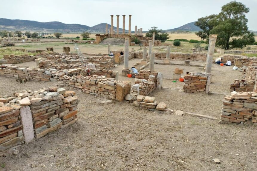 Le site de Thuburbo Majus — également connu sous le nom de Henchir Kasbat — couvre une superficie de 120 hectares, dont seulement 7 hectares ont été explorés à ce jour.