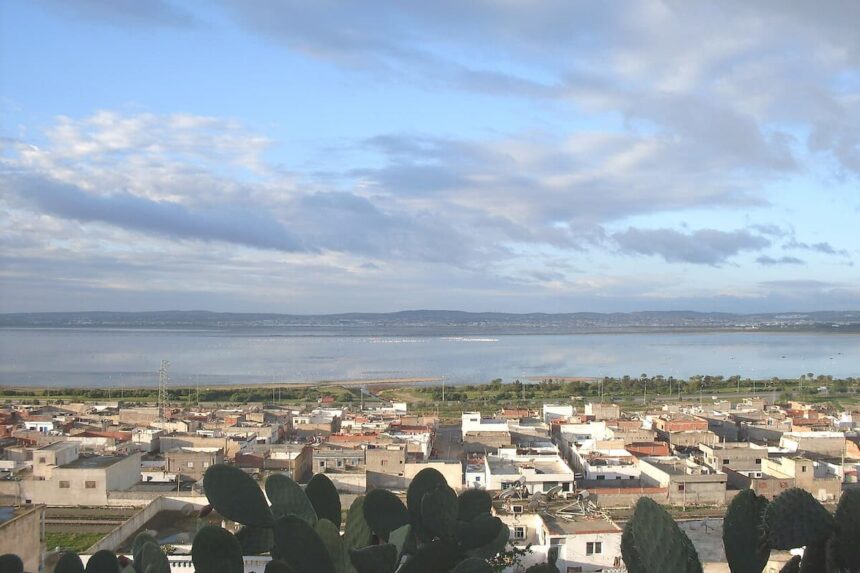 Cette étude définira les grandes orientations à moyen et long termes, en s’appuyant sur une vision prospective visant à exploiter de manière optimale le potentiel du lac de Sijoumi.