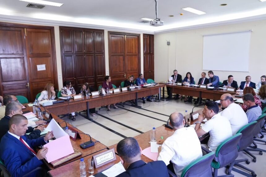 ls ont précisé, à cet égard, que la proposition de loi organique n°13/2023 relative à l’organisation de la profession de conseiller fiscal comporte certaines dispositions contraires à la législation en vigueur, notamment au Code des droits et procédures fiscaux ainsi qu’au décret encadrant la profession d’avocat.