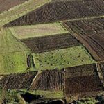 certification des systèmes agricoles