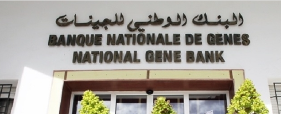 Banque nationale des gènes