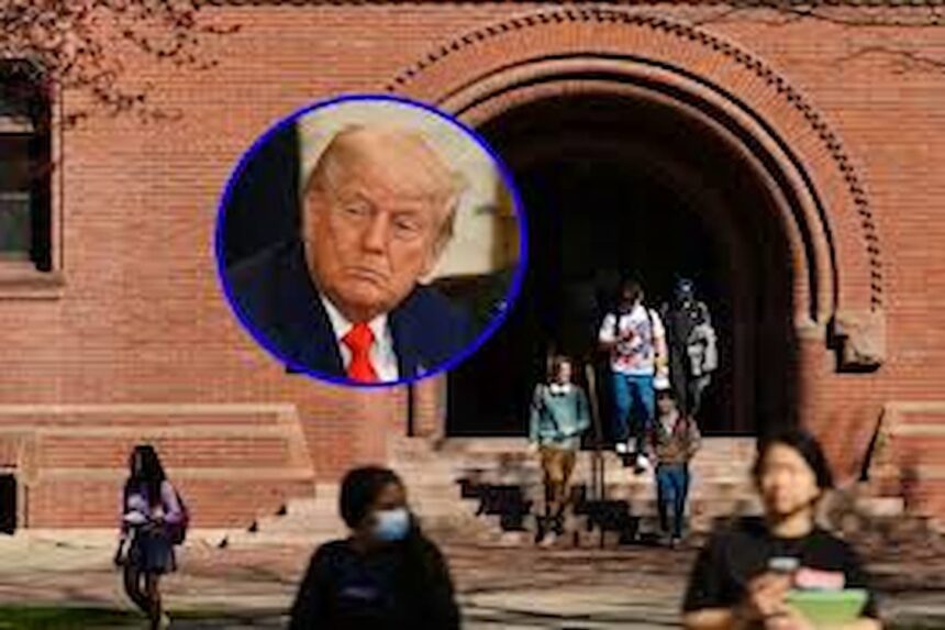 universités et réseaux sociaux