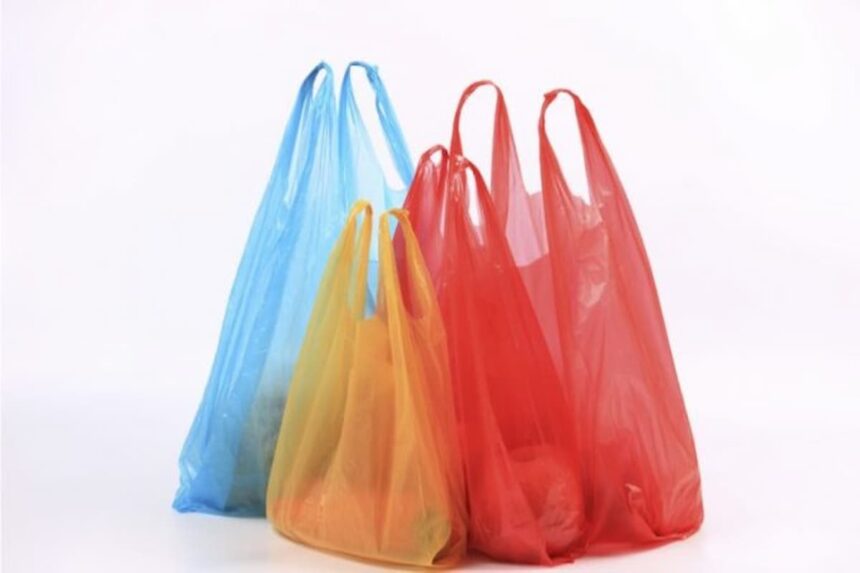 Le Dr Larisa de Orbe, d'Acción Ecológica México, a déclaré avec force que la pollution plastique avait déjà dépassé les limites de ce que les populations et la nature peuvent supporter.