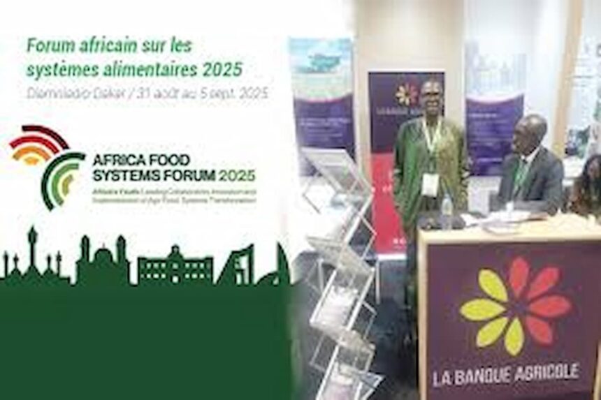 Forum africain des systèmes alimentaires