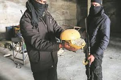 Belgique, narco-Etat