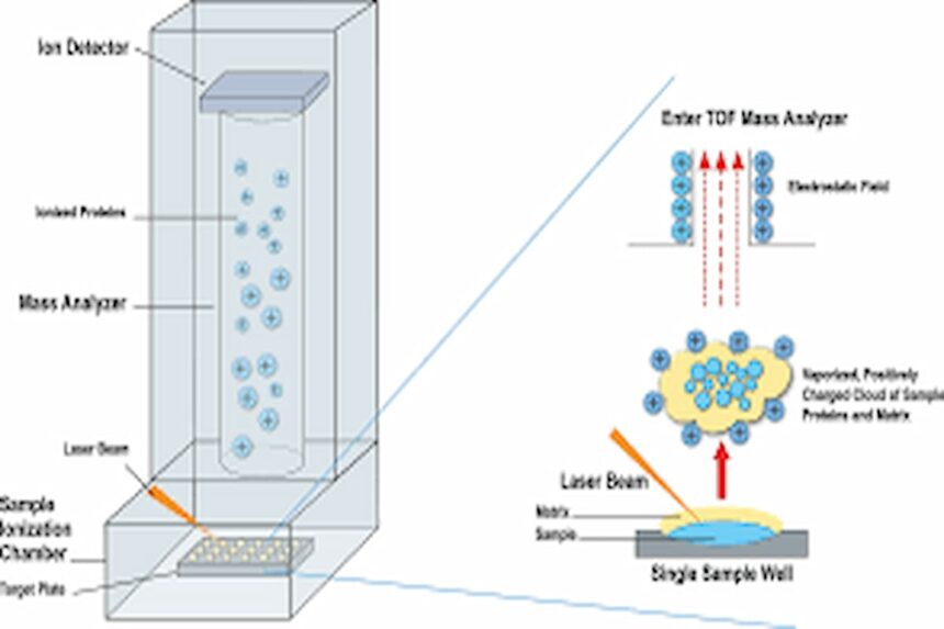 maladies infectieuses