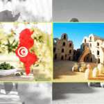 Tourisme et huile d'olive