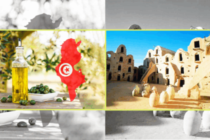 Tourisme et huile d'olive