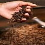 Groupement de torréfacteurs