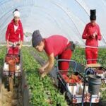 communauté marocaine