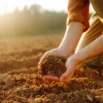 Flambée des prix des engrais