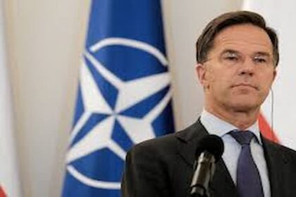 Mark Rutte, Otan
