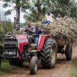 Prix alimentaires mondiaux